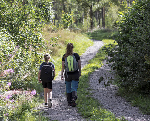 Hike in Småland