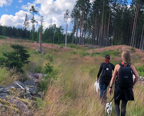 Hiking trail - Hammarsjöleden